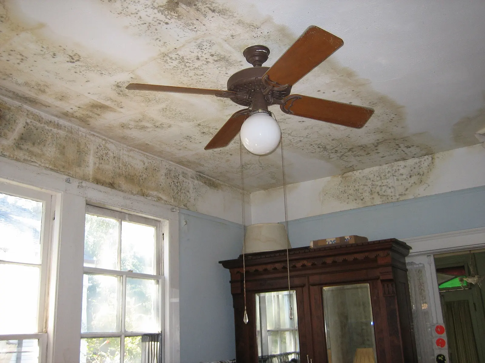 Mold across a ceiling around a ceiling fan. Shown on the Inspection page for Huntsville, AL.