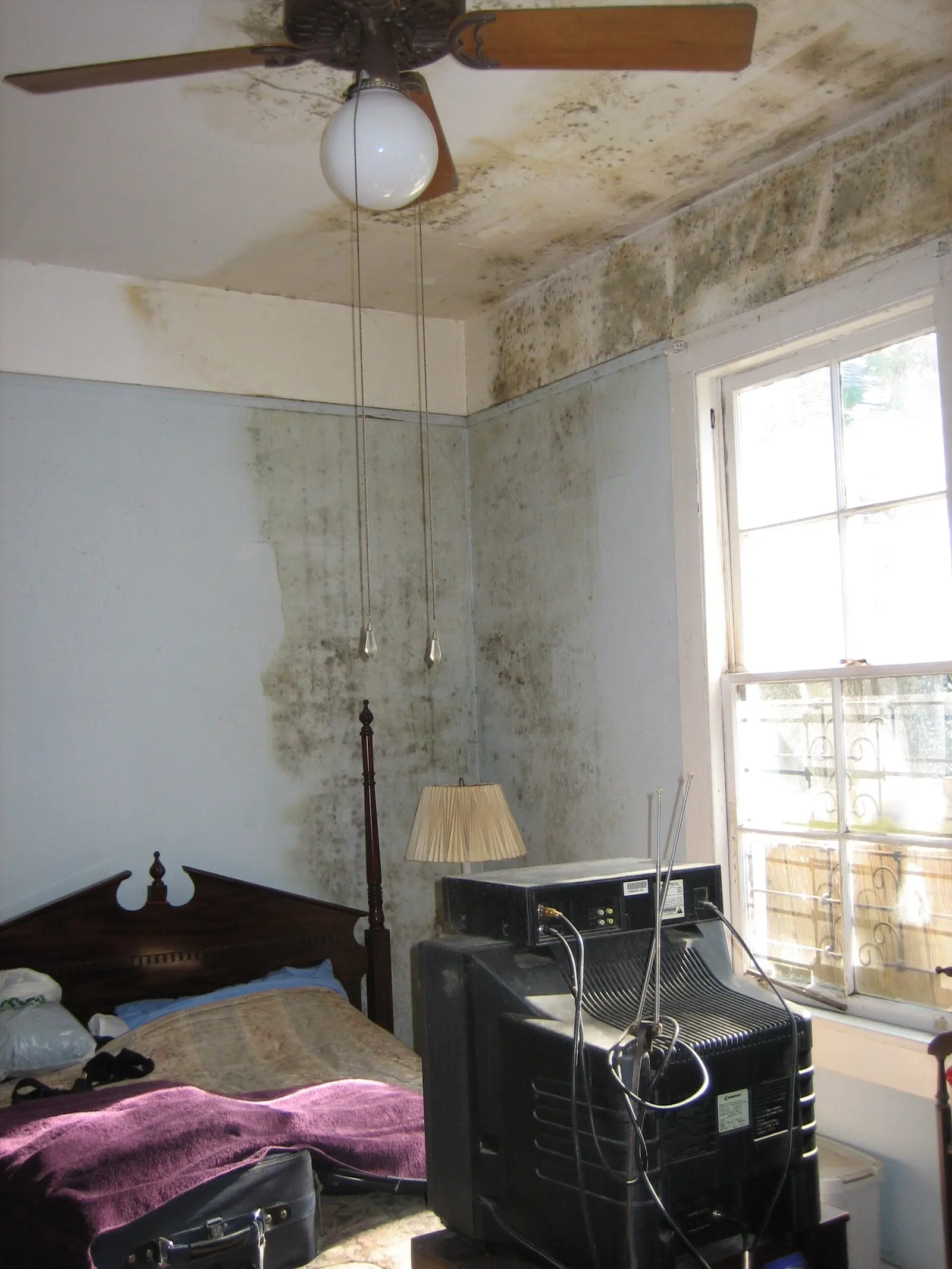 Mold on a bedroom wall and ceiling after water damage. Shown on the Hidden leak page for Huntsville, AL.